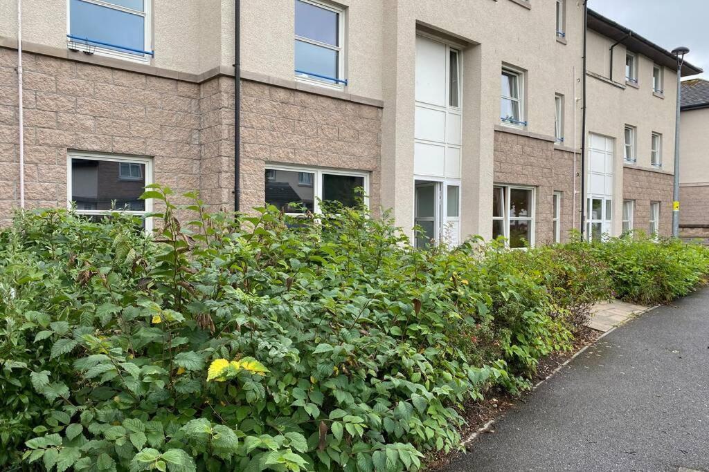 Peter Pan Apartment In The Heart Of Inverness Dalneigh Dış mekan fotoğraf